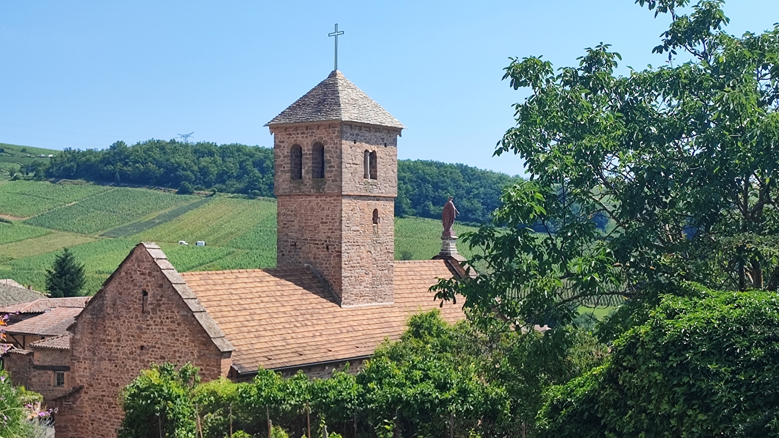 Les NaturGourmandes : Chasselas