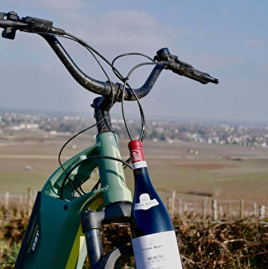 Balade dans le vignoble en trottinette éléctrique