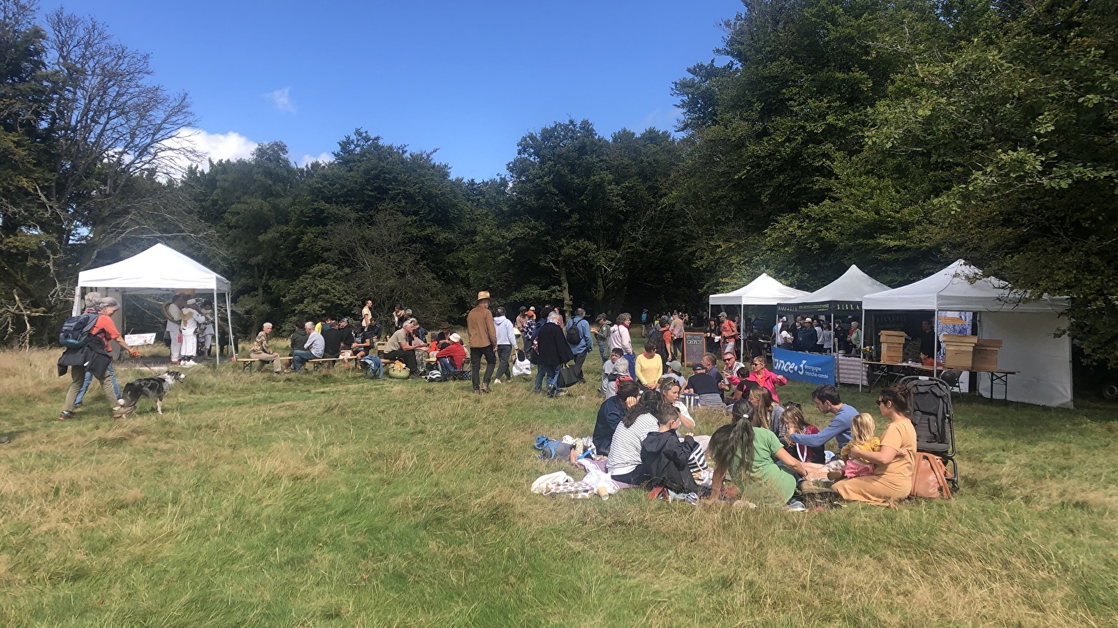 Fantastic Picnic à Bibracte