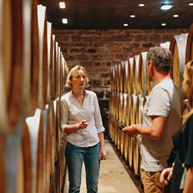 Château Philippe le Hardi - Visite dégustation 'Fons Boni & Sani'