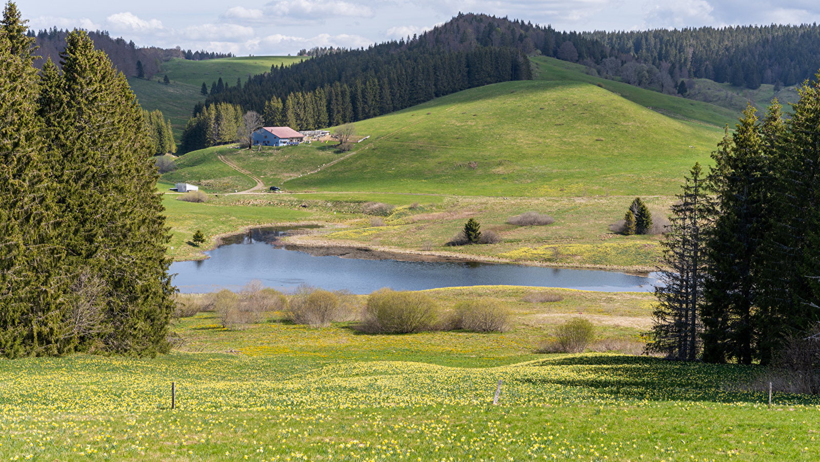 Lac de l'Embouteilleux