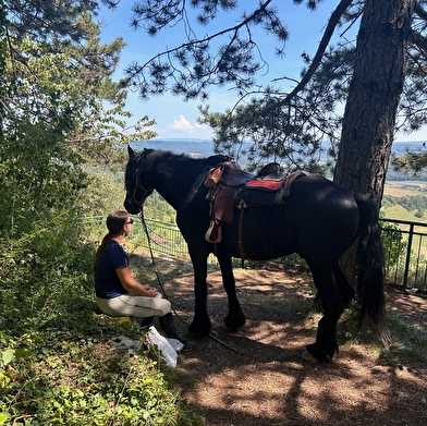 La Genette et la Salamandre