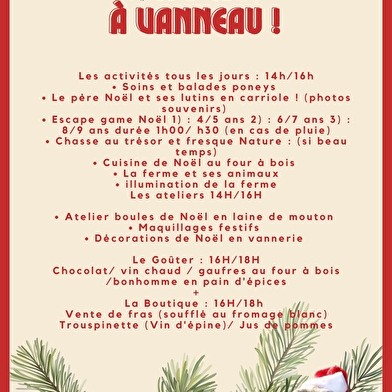 Viens fêter Noël au Moulin de Vanneau !