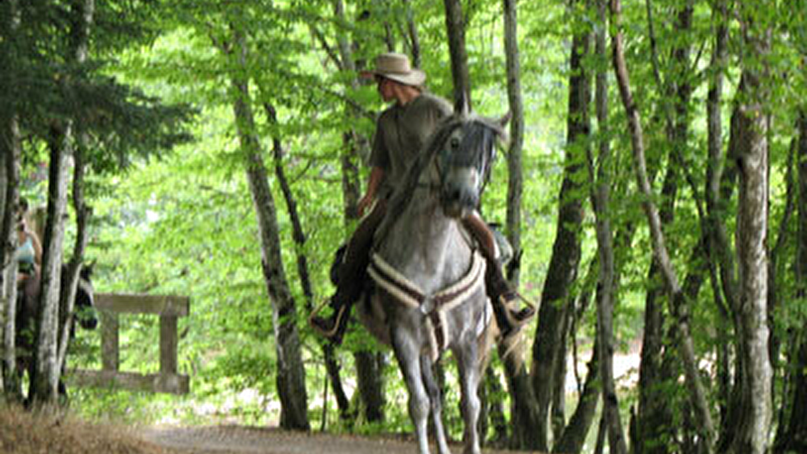 Ecole d'Equitation - Les Gambades