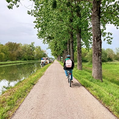 Visite guidée à vélo à Saint-Jean-de-Losne