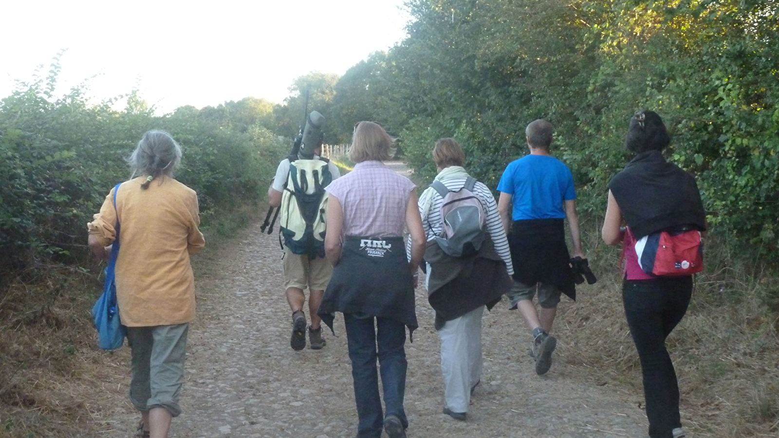 Biodiversité des chemins