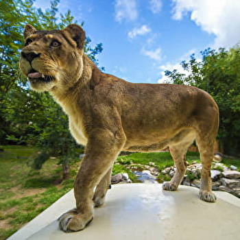 Touroparc Zoo - ROMANECHE-THORINS