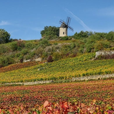 Visite guidée « à la découverte du Moulin Sorine & du vignoble de Santenay »