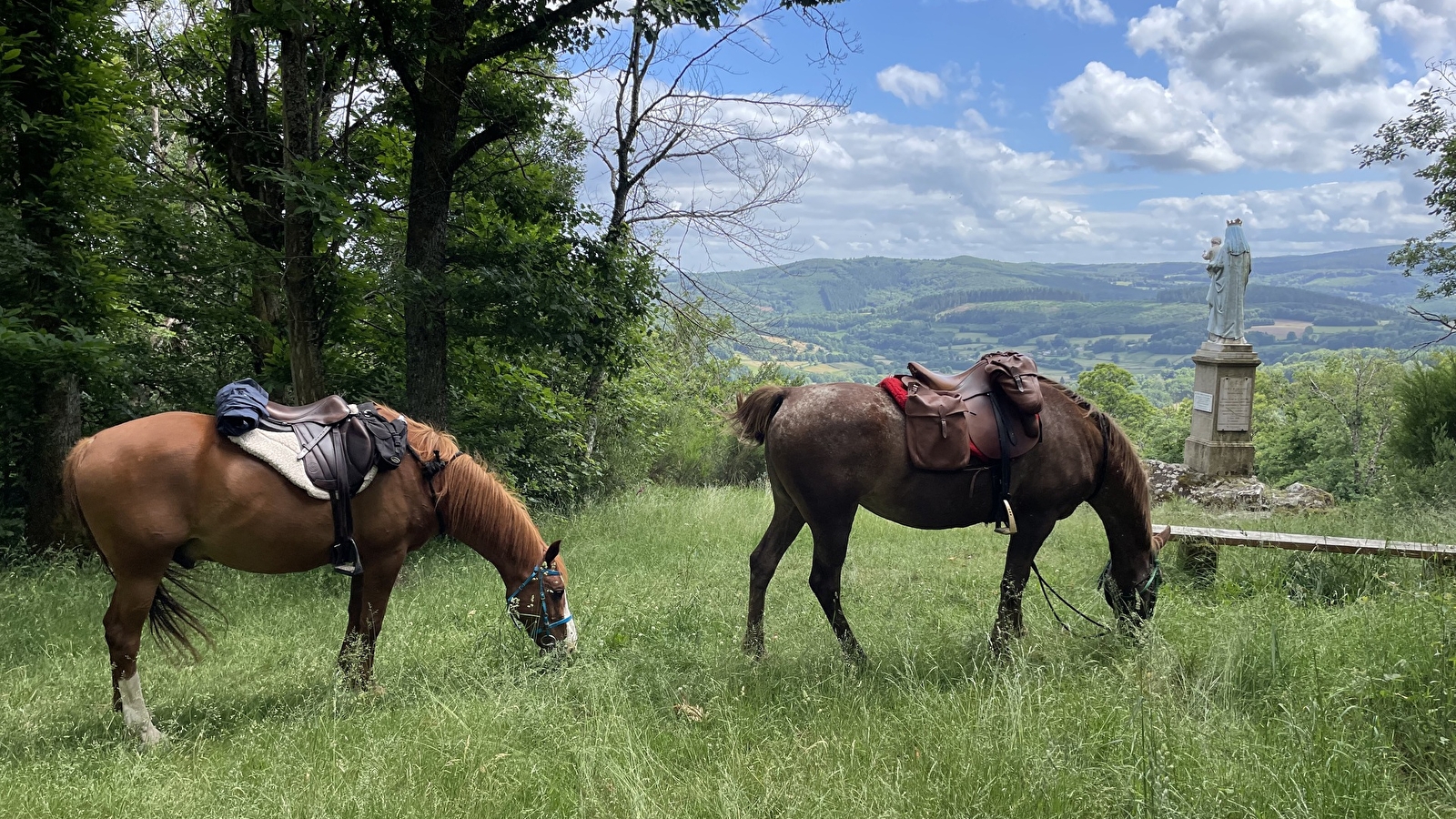 Randonnée équestre : Morvan magique