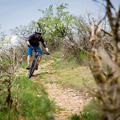 JURA RIDE - Location de vélo