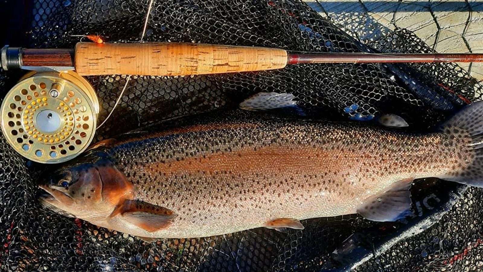 Séjour pêche à la mouche et gastronomie haut de gamme