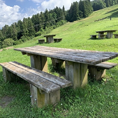 Aire de pique-nique du chalet du téléski à Cormaranche-en-Bugey