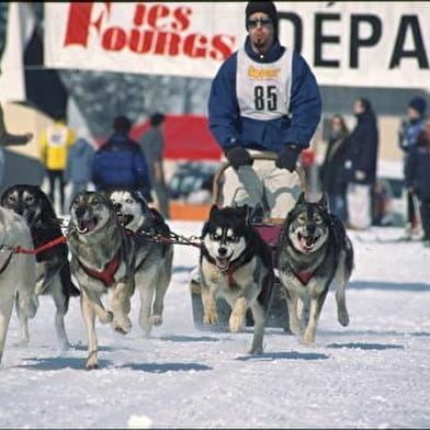 Course de chiens de traîneaux - Amarok Winter Run