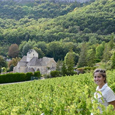 Domaine Clos Saint Jean