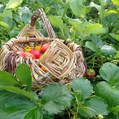 Fantastic Picnic