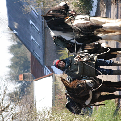 Balade à pied d'une journée avec âne, cheval et poney