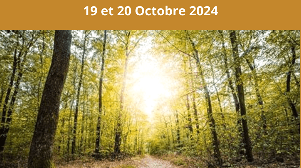 Stage Chemin de Guérison 1 Du 19 au 20 oct 2024