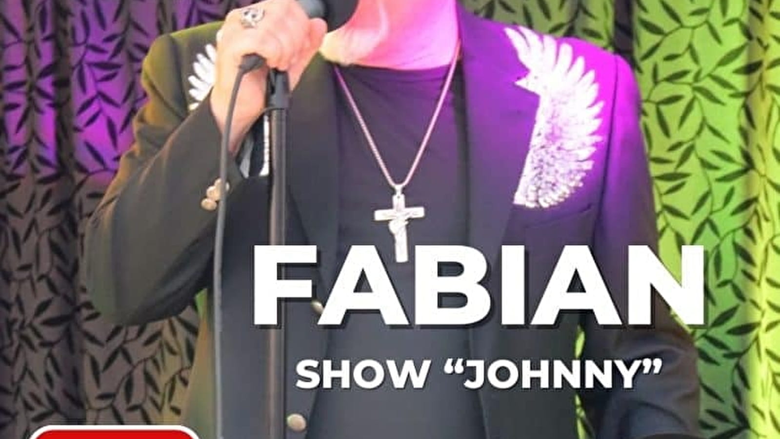 VENDREDI DE L'ARLEQUIN : FABIAN - Show Johnny