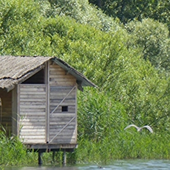 Le Grand Etang de Pontoux - PONTOUX