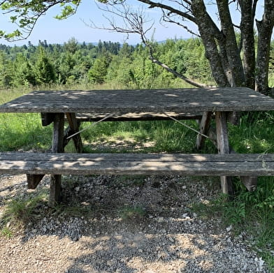 Aire de pique-nique de la Charbonnière à Hostiaz