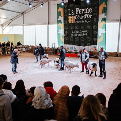 La Foire gastronomique de Dijon et la ferme Côte-d’Or