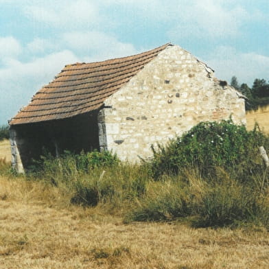 Au cœur de Thomasse