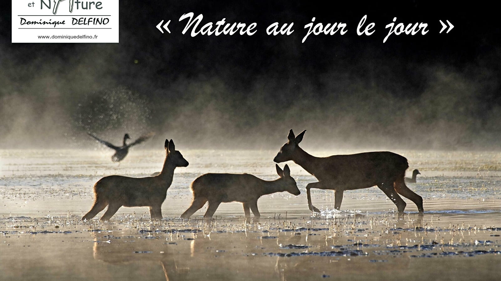 Soirée documentaire 'Nature au jour le jour'