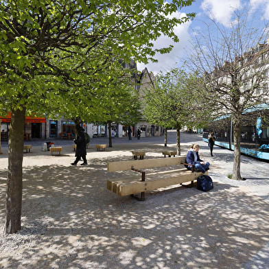 Visite guidée : la ville face au changement climatique