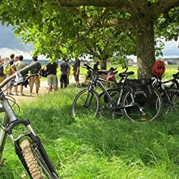 Balades Oenologiques à vélo 'Côte de Nuits Grand Cru' de Nuits-Saint-Georges à Gevrey Chambertin - NUITS-SAINT-GEORGES