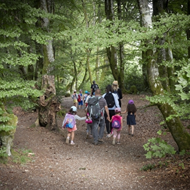 A l'assaut du Moussu ! Visite de Bibracte pour les enfants.