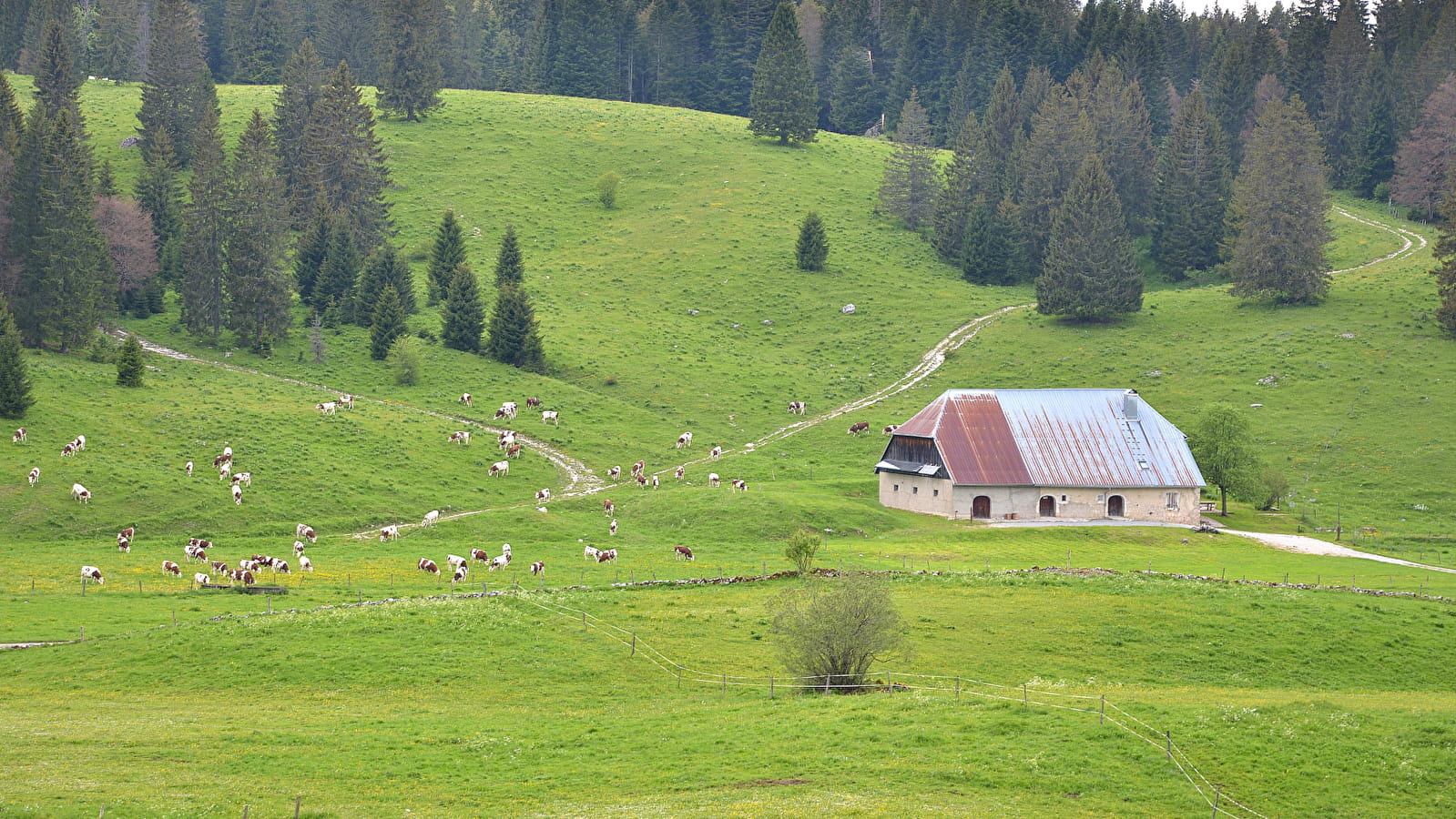 ENS - Le Pré-Bois des Bâties