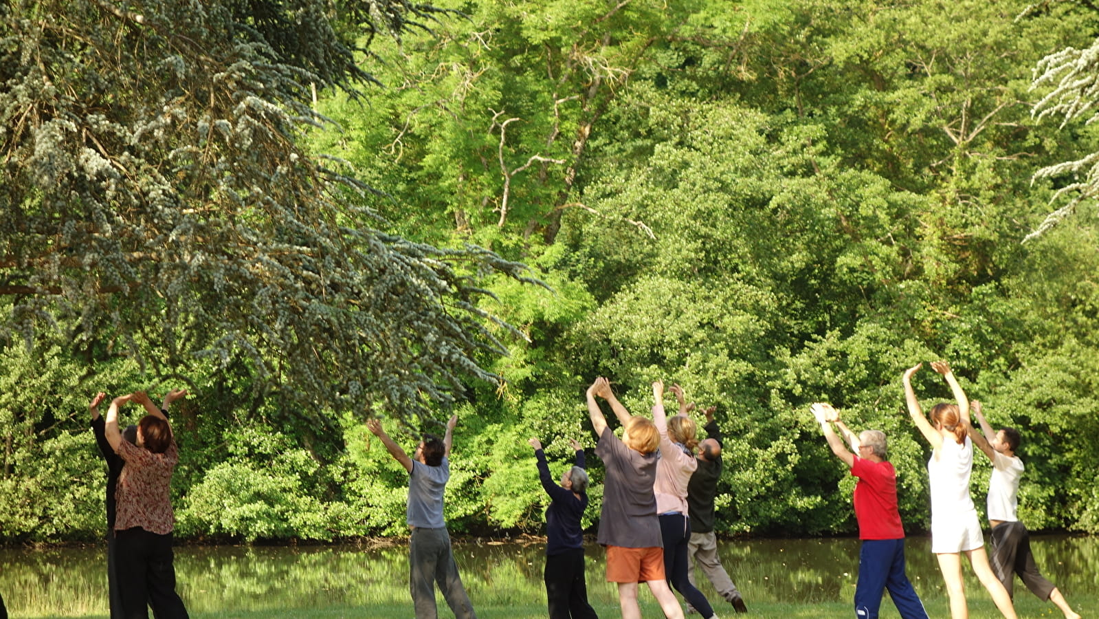 Stage Qiqong et Taichi Chuan et Meditation Zen