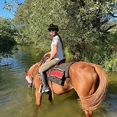 La Genette et la Salamandre