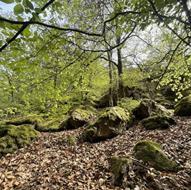 Cascade de Brisecou