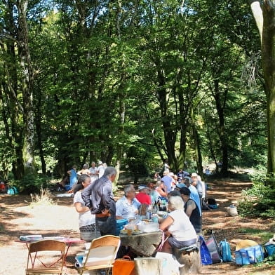 Fantastic Picnic à Bibracte