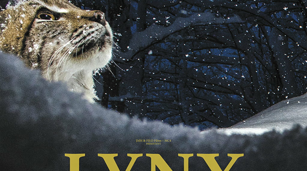 Projection du film Lynx suivi d