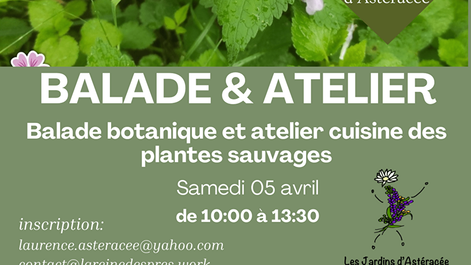 Balade botanique et atelier autour des plantes sauvages comestibles