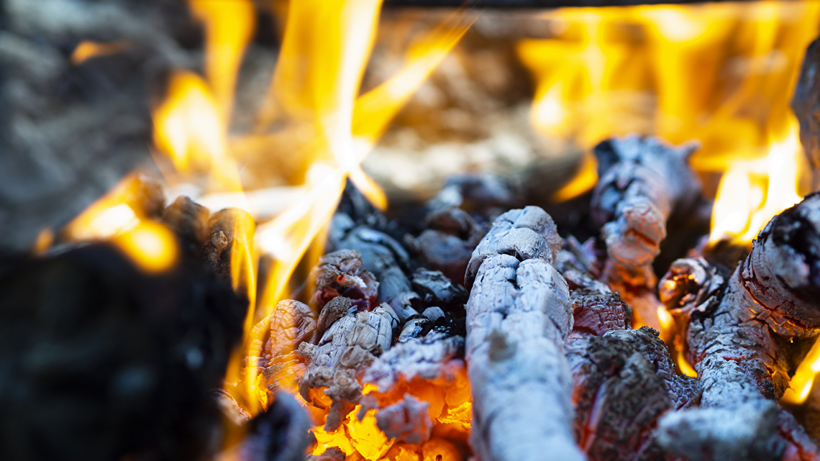 Dégustation et casse-croûte au coin du feu