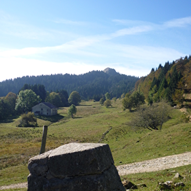 La Borne au Lion, Crêt de Chalam