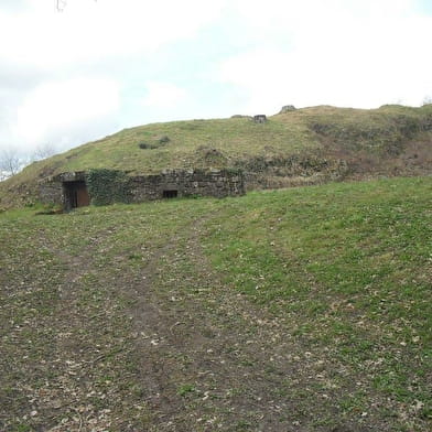 Chateau de la Perrière 