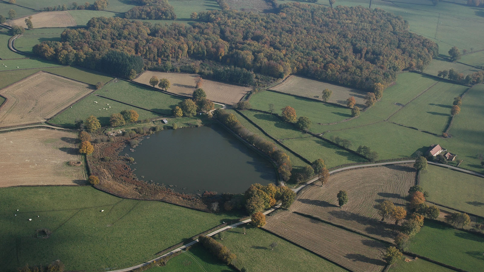 Etang de Beauvernay