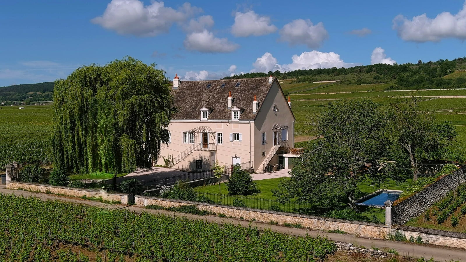 La Maison Chassagne de Puligny - Une maison de famille