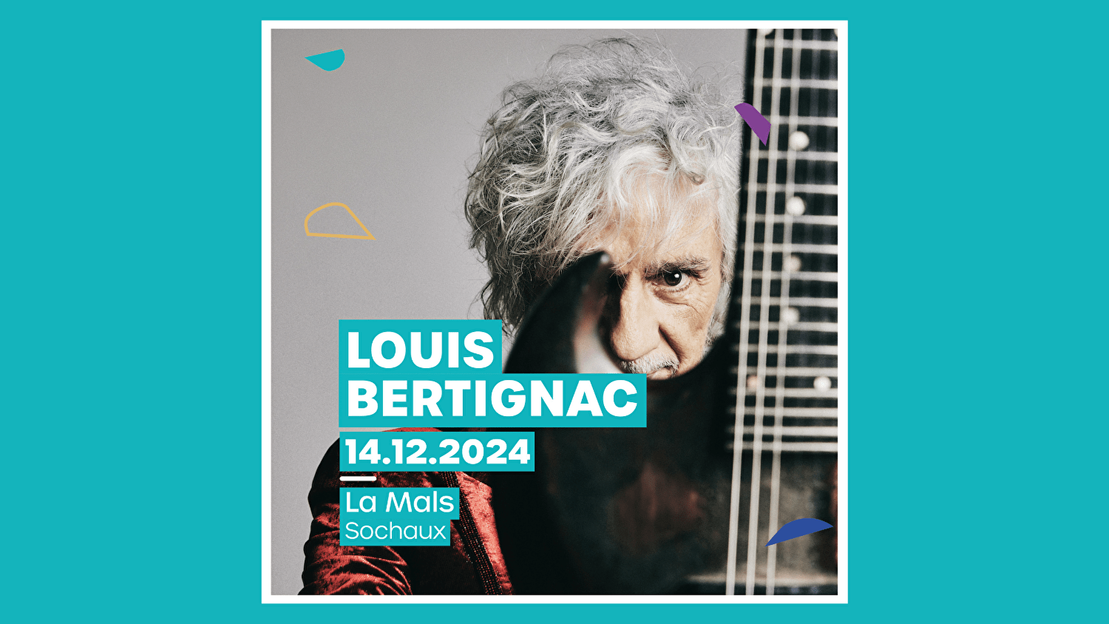 Concert : Louis Bertignac