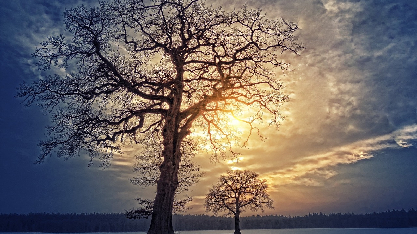 Veillée symbolique : Le solstice d'hiver Yule et les fêtes de Noël 