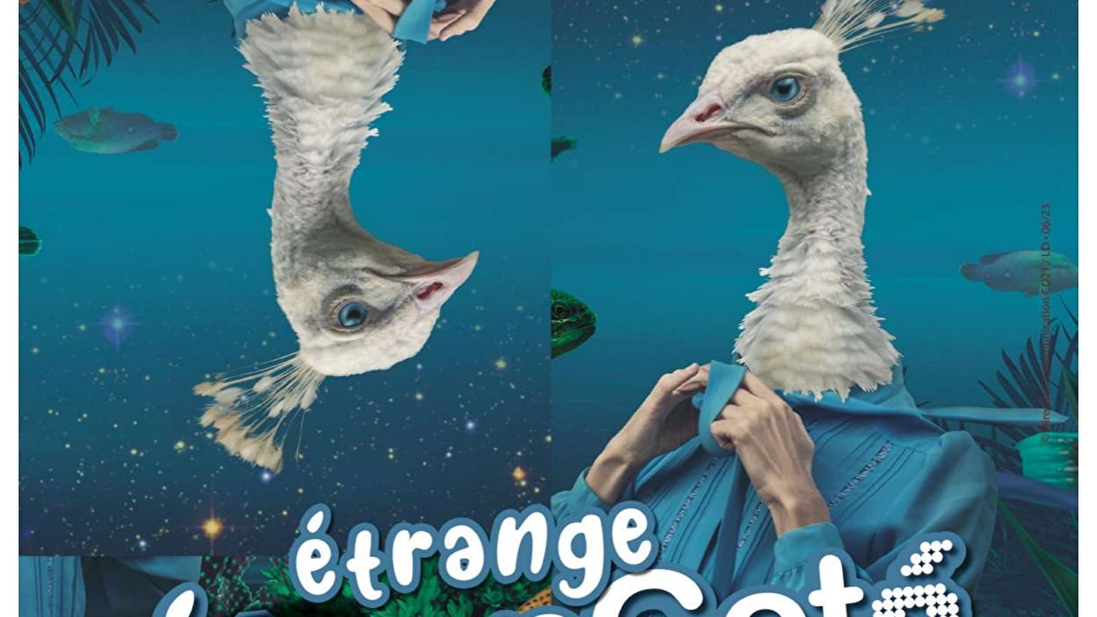 Ateliers "Etranges créatures au musée" Du 1 au 31 oct 2024