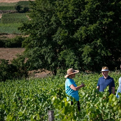 Domaine de La Luolle