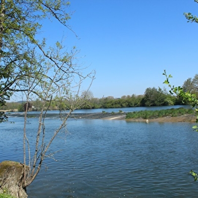 Au Doubs rivage