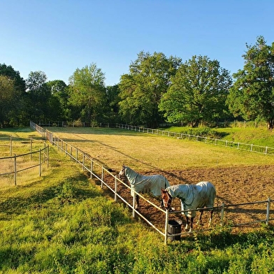 Ferme Equestre Gateau Stables : séjour linguistique-équitation et balades et leçons à poney et cheval