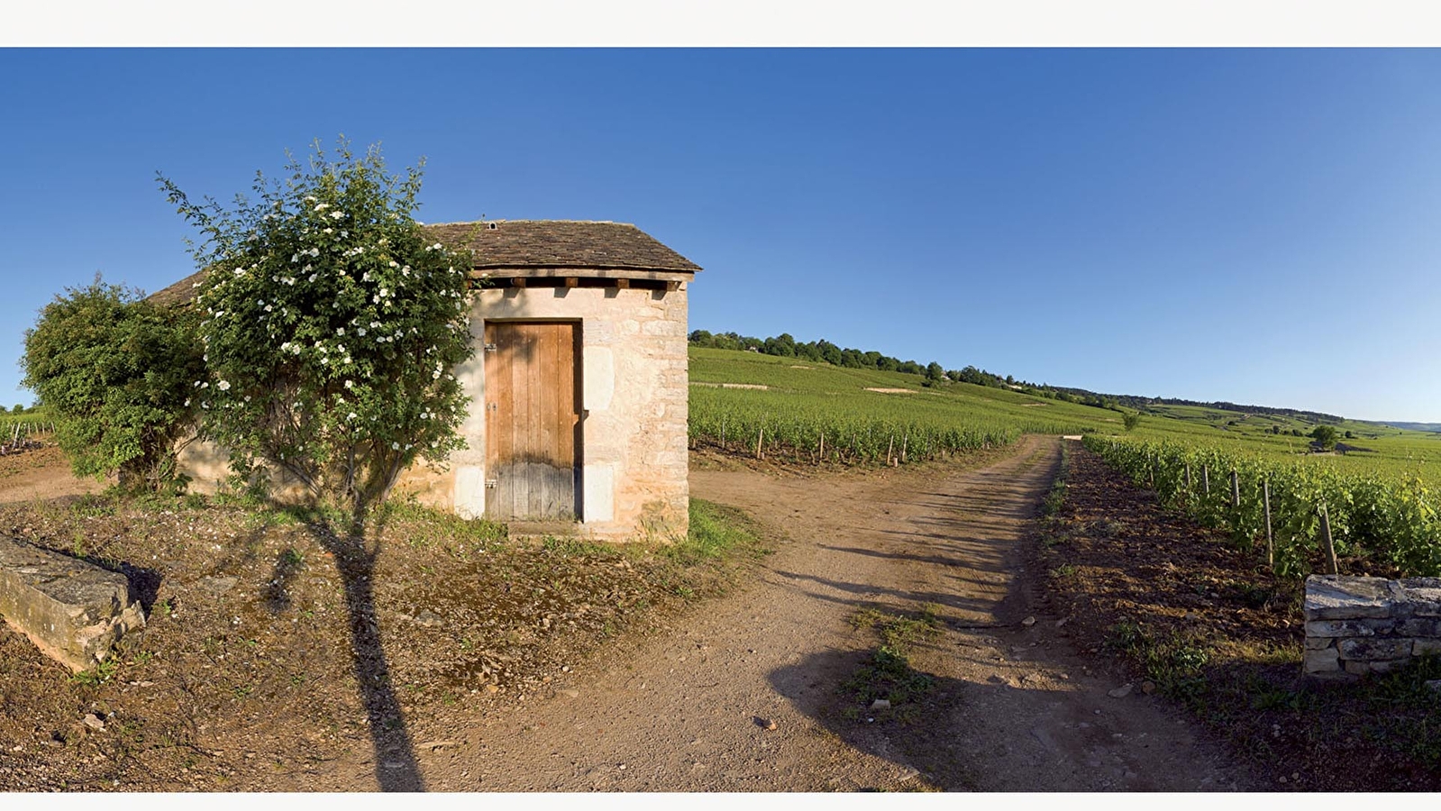 Montagne de Beaune