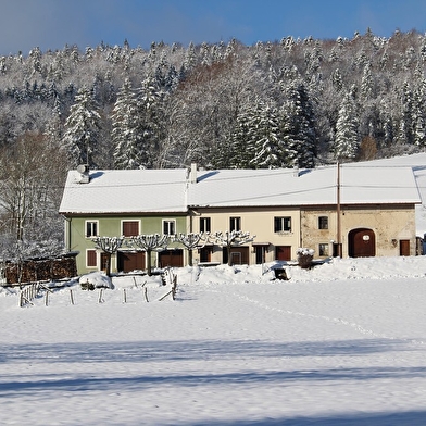 Gîte n°G879